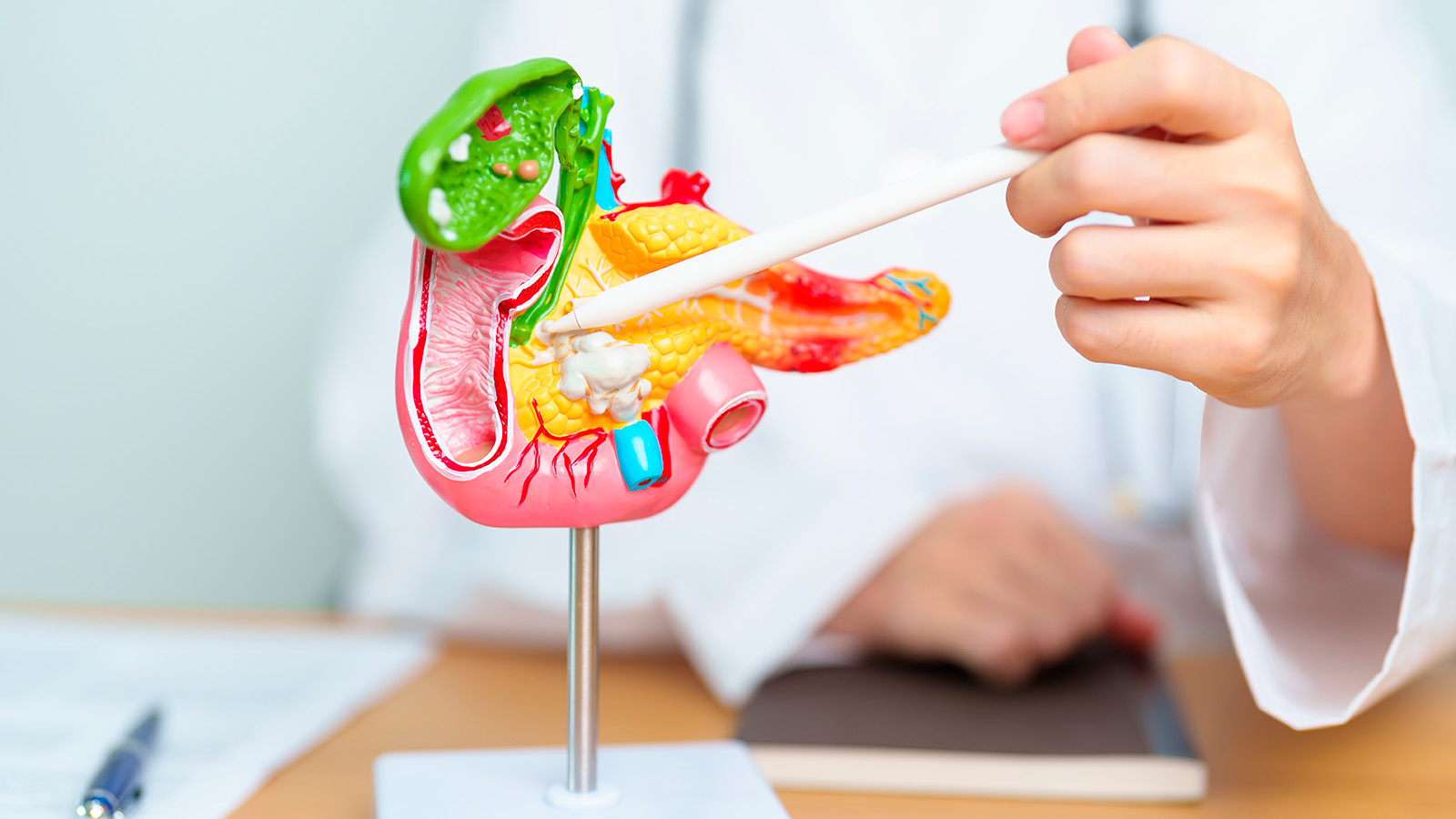 Scientists discover how to “restart” pancreatic cells.