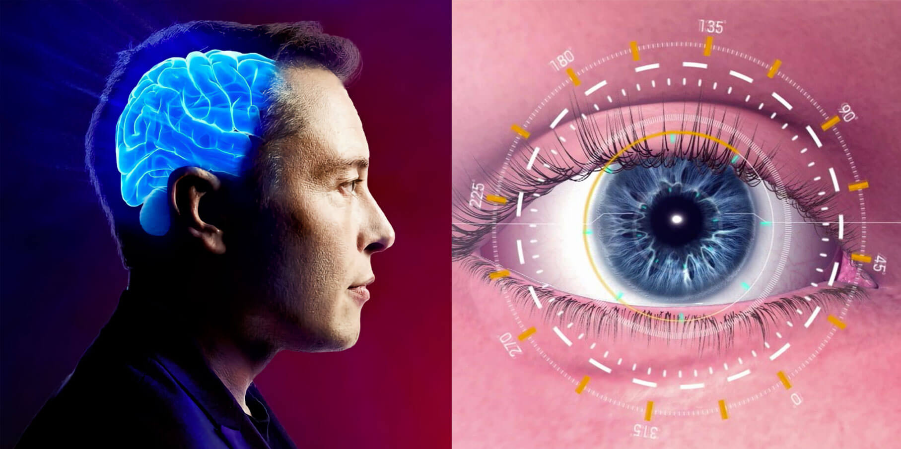 Neurotechnology opens a path to treating severe blindness.